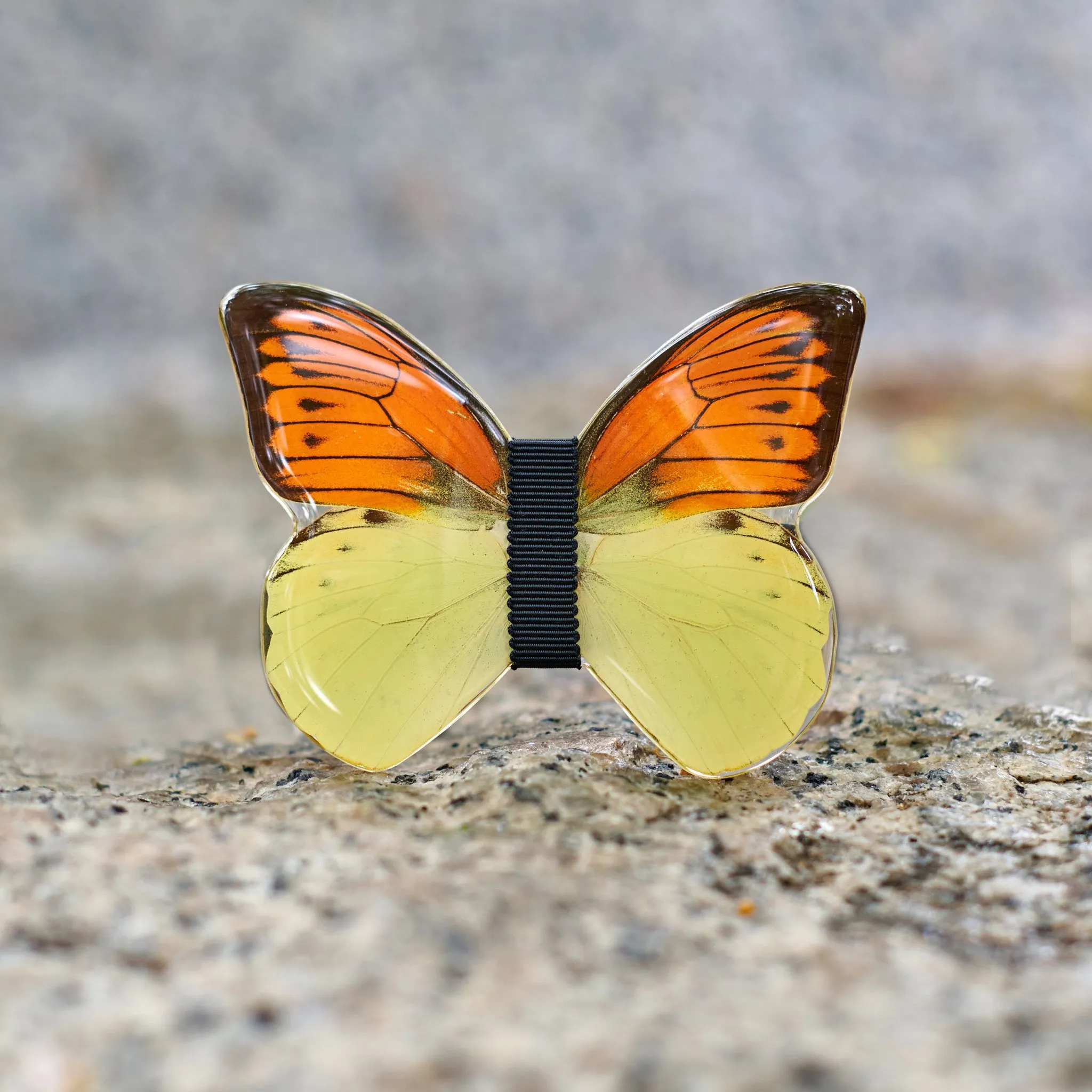 Monsieur Butterfly   Brooch Nabucco