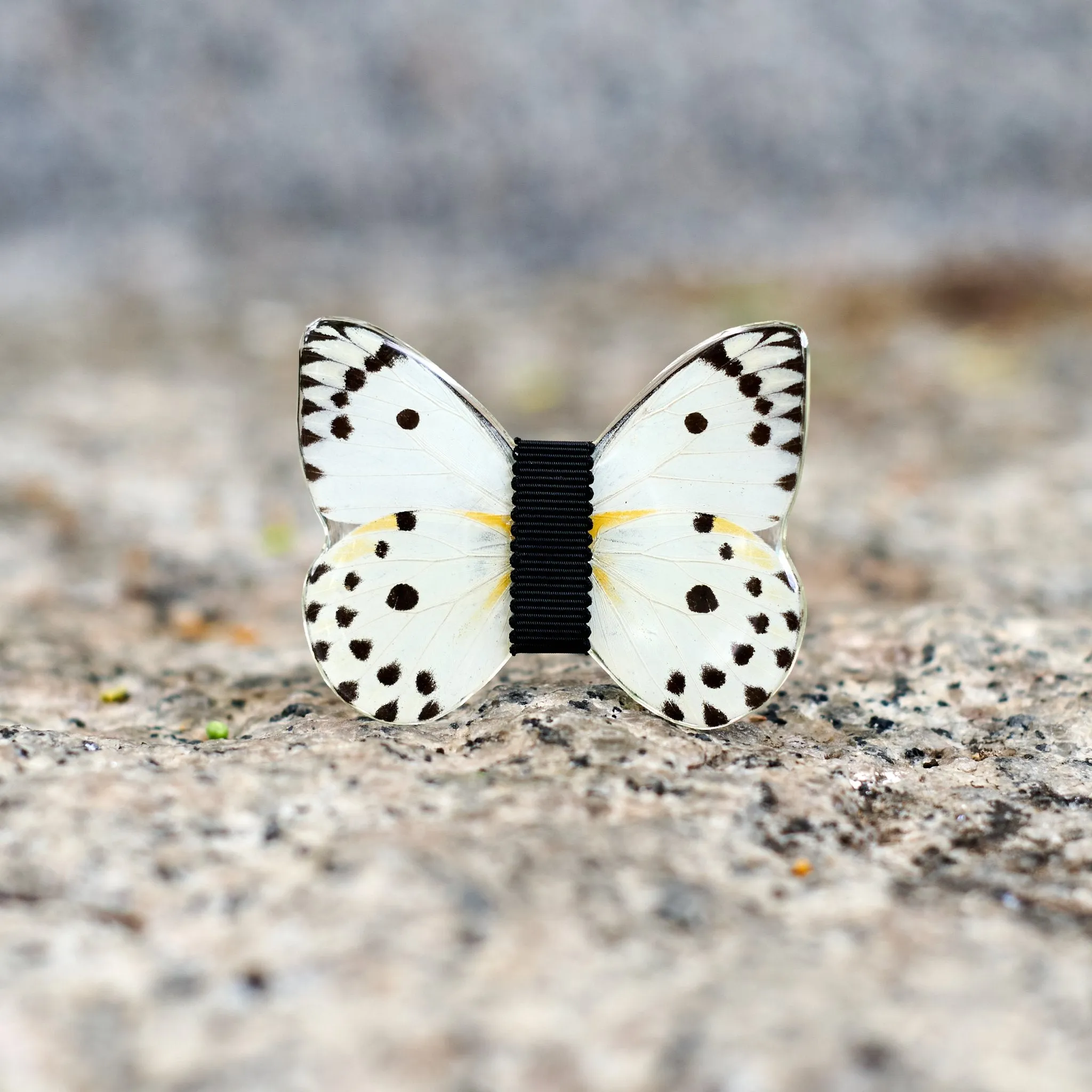 Monsieur Butterfly   Brooch Papageno