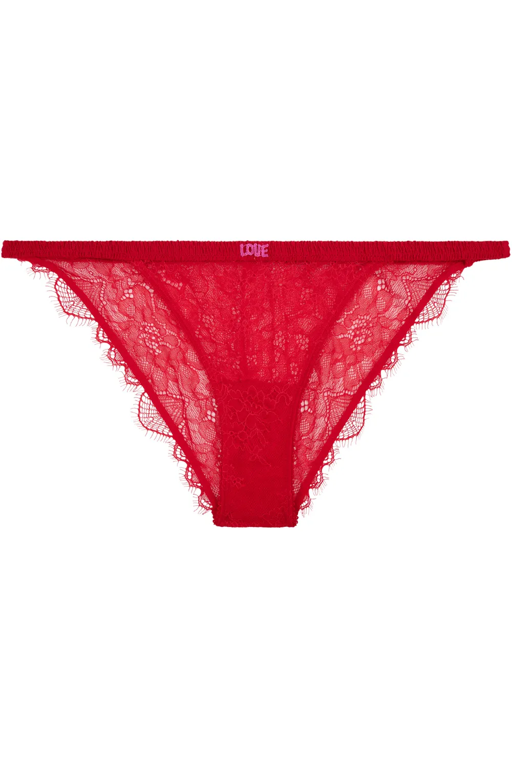 Wild Rose Brief