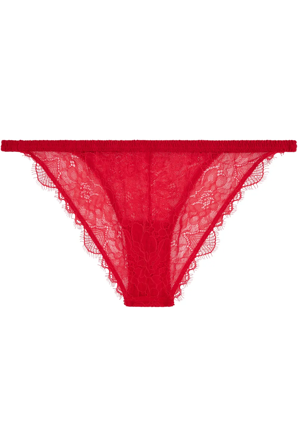 Wild Rose Brief